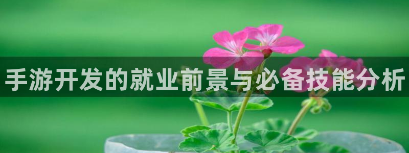 豪门国际开奖官网查询