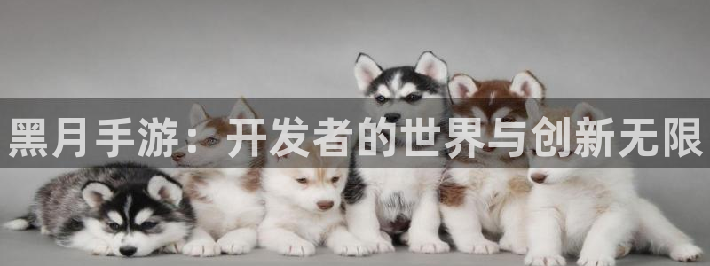 豪门国际预测在线预测专业28