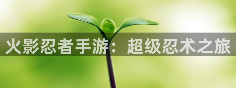 28大神专业版下载地址