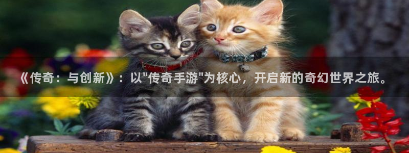 豪门国际加拿大在线预测