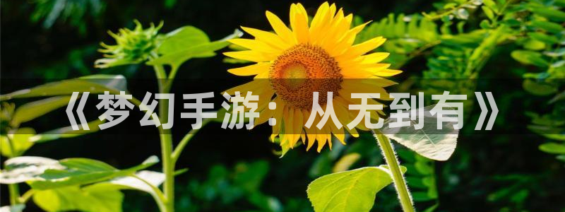 28大神吧怎么进不去了