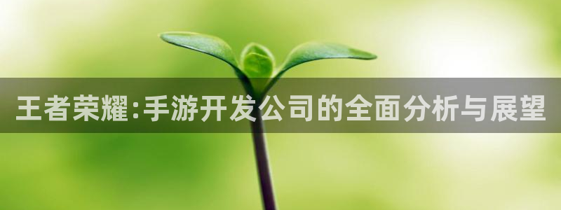 28大神app怎么下载：王者荣耀:手游开发公司的全面分析与展