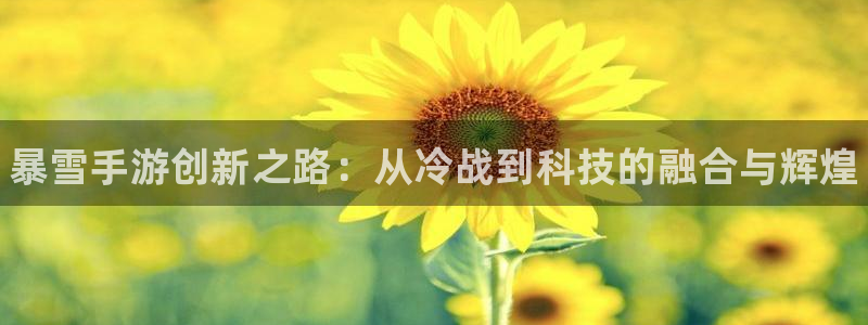 大神吧论坛28算法：暴雪手游创新之路：从冷战到科技的融合与辉