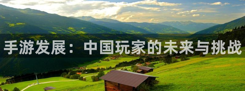 28大神预测下载：手游发展：中国玩家的未来与挑战