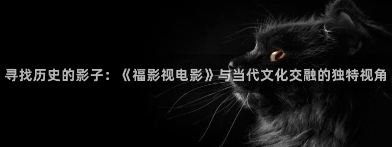 皮特电影网站：寻找历史的影子：《福影视电影》与当代文化交融的独特视角