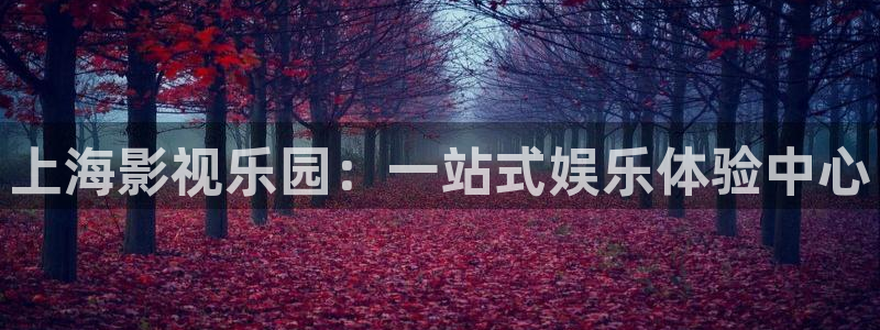 皮特影院电影免费