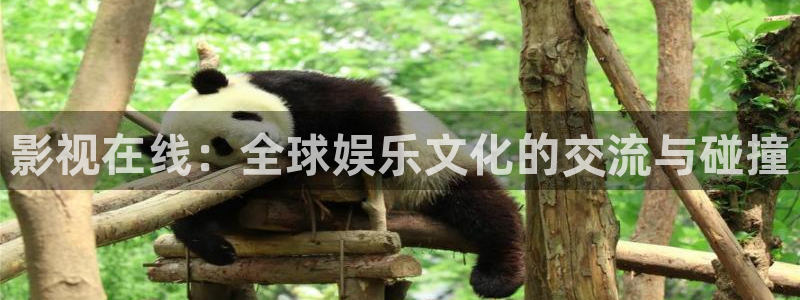 皮特电影院在线观看