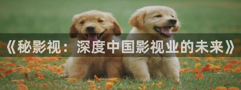 皮特 电影