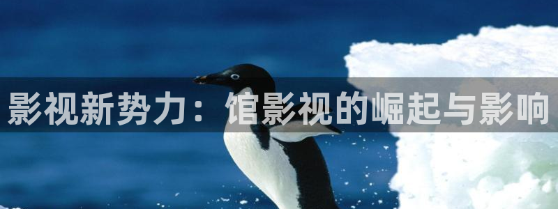 皮特电影皮特影院